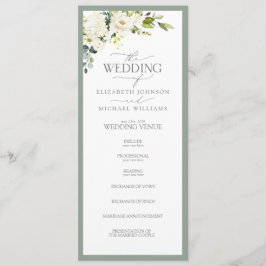 Programa Vidraça Verde da Cinza Branca Elegante