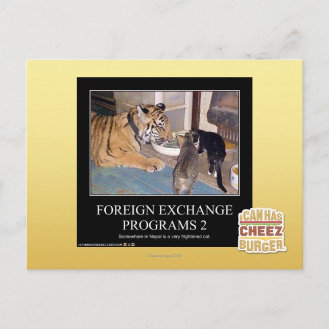 Programas cambiais 2 (Frente)