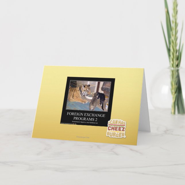 Programas de câmbio 2 (Frente)