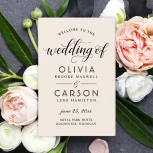 Programas de Casamento de Creme Moderno e Script N