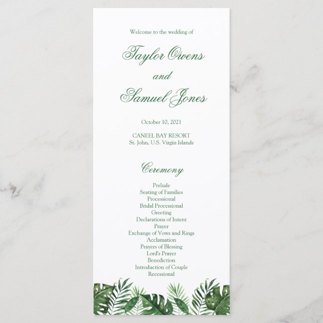 Programas Tropicais de Folha de Palma (Frente)