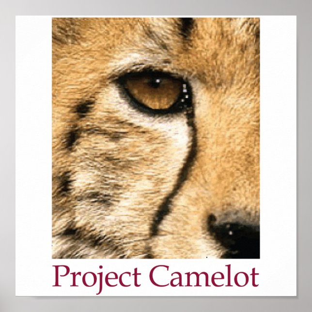 Project Camelot Poster (Frente)