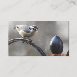 Projete seus próprios cartões de visitas