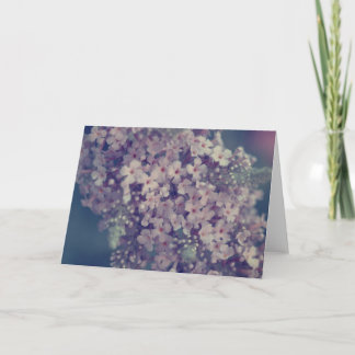 Promessa 2 | Fotografia de Flor de Lilás em Cartão