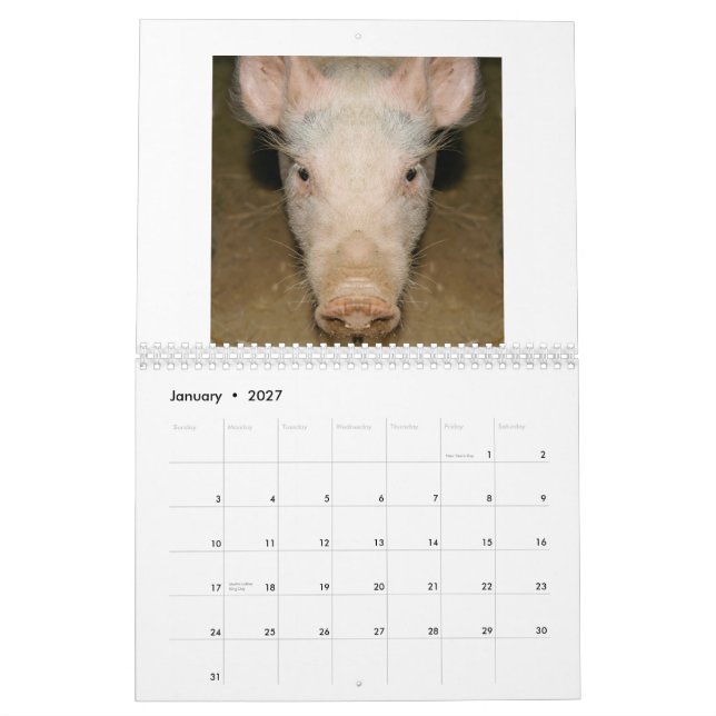 Promo do calendário (Jan 2027)