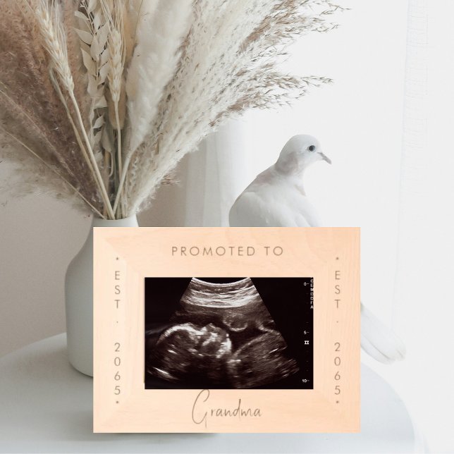 Promovido à avó Wooden (Criador carregado)