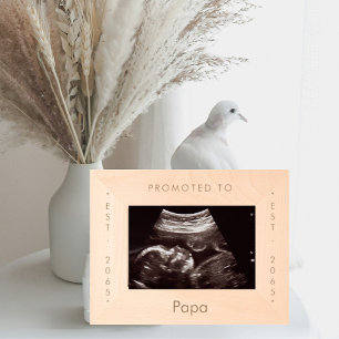 Promovido a Papa Wooden