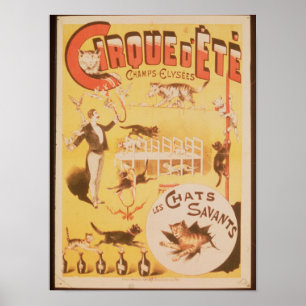 Propaganda de poster o d'Ete de Cirque no