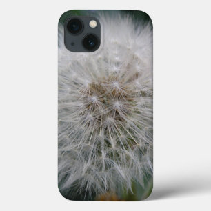 Propagando a caixa iPad de Flor de Dandelion