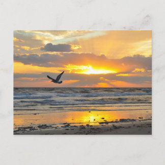 Proposta de noivado Sunrise no Cartão Postal de Pr