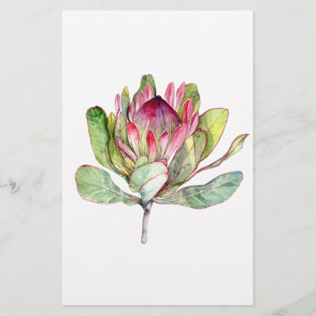 Protea Flor (Frente)