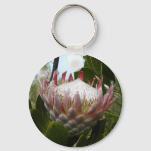 Protea Flower Hawaii Chaveiro
