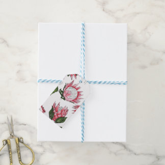 Proteas desenhadas à mão em Etiquetas Brancas (10)