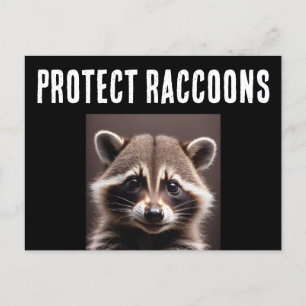 PROTEGER CARTÕES POSTAIS DE RACCOON DE RACCÕES