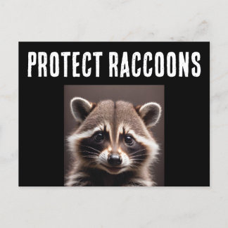 PROTEGER CARTÕES POSTAIS DE RACCOON DE RACCÕES