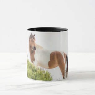 Protetor da caneca das dunas
