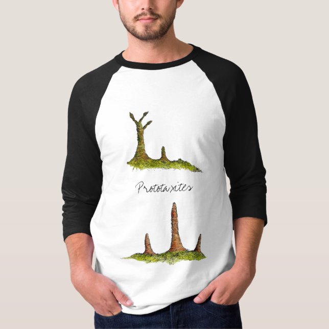 Prototaxites Fungi / Lichen Raglan T-Shirt (Frente)