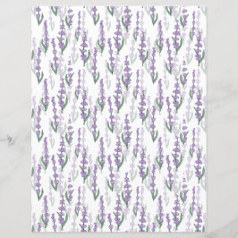 Provedação de campo de lavanda flor roxa