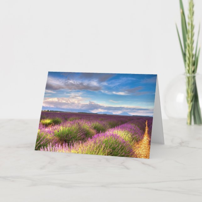 Provence - a lavanda coloca o cartão (Frente)