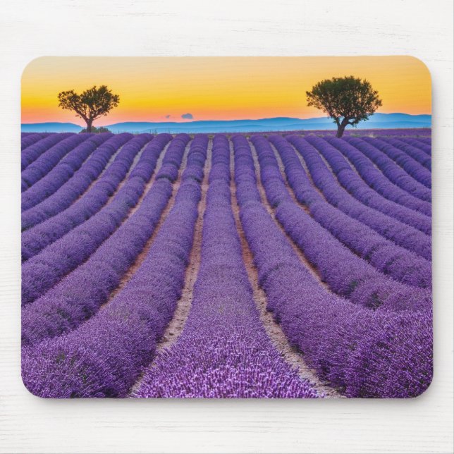 Proveniência, Mouse Pad França (Frente)