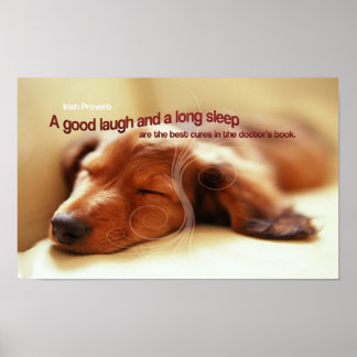 Proverbo Irlandês Slebe Dog Poster