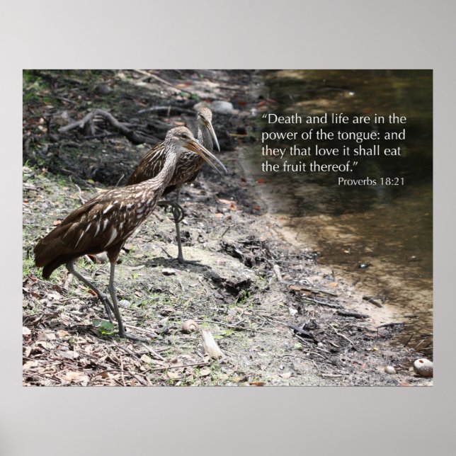Proverbs 18:21 Scripture Impressão (Frente)