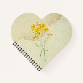 Psilostrophe Sparsiflora Amarelo