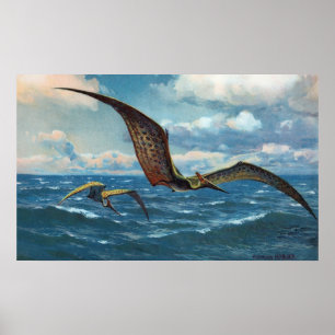Pteranodon Impressão