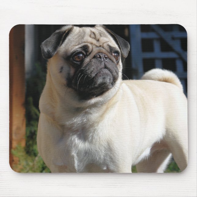 Pug bonito Mousepad da jovem corça (Frente)