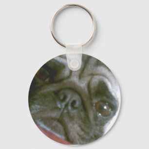 Pug Chaveiro