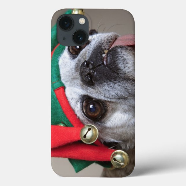 Pug de vista engraçado com a língua que pendura (Verso)