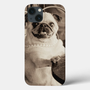 Pug do café
