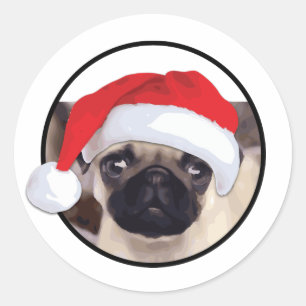 Pug do Natal - etiqueta redonda clássica, lustros