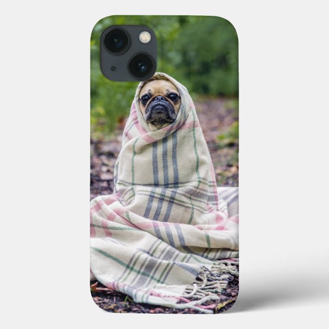Pug em cobertor (Verso)