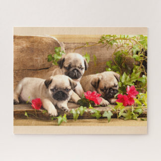 Pug filhotes entre flores quebra-cabeça