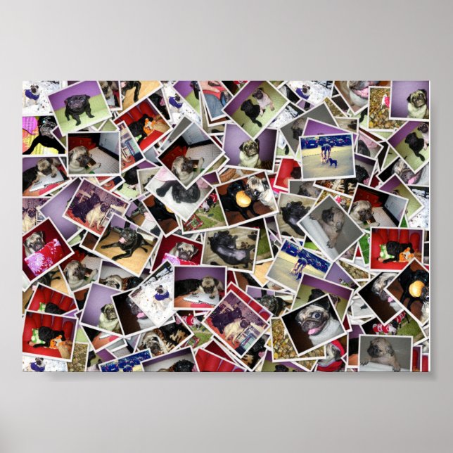Pug Life Poster (Frente)