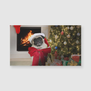 Pug Misha Esperando na Manhã de Natal