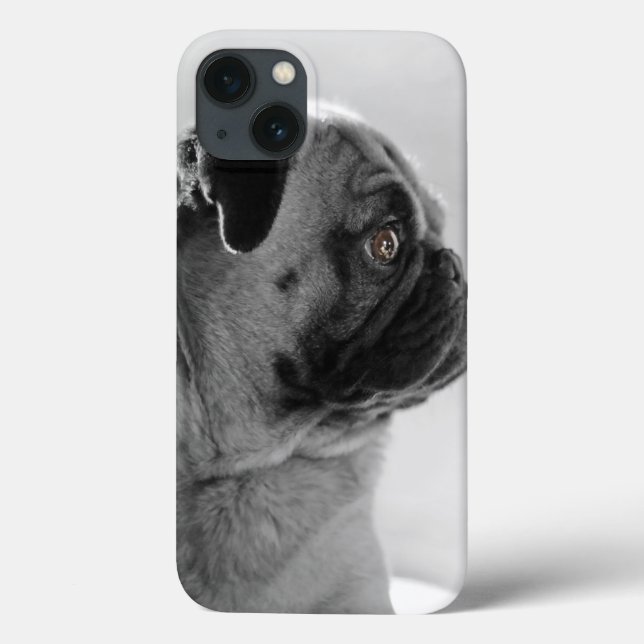 Pug no perfil (Verso)
