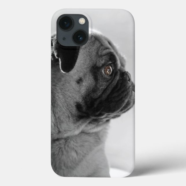 Pug no perfil (Verso)