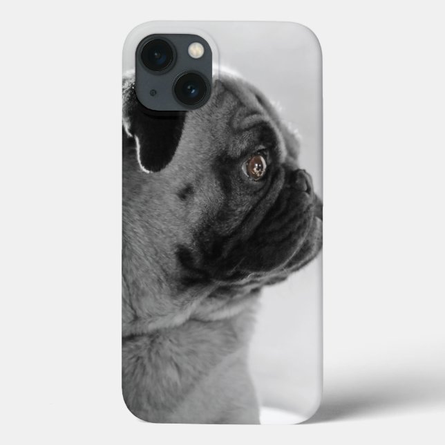 Pug no perfil (Verso)