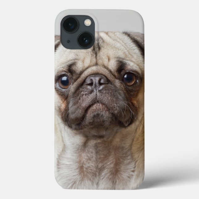 Pug Portrait (Verso)