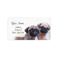 Pug Puppies Endereço Etiquetas