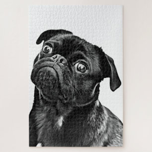 Pug Quebra-cabeça