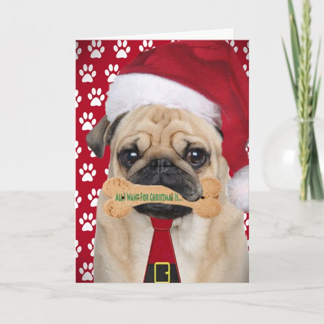 Pug Tudo O Que Quero Com Cartões De Natal (Frente)
