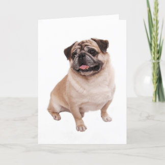 Pug Vazio Cão Cachorro Saudação Cartão Nota