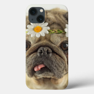 Pug with Daisy Crown