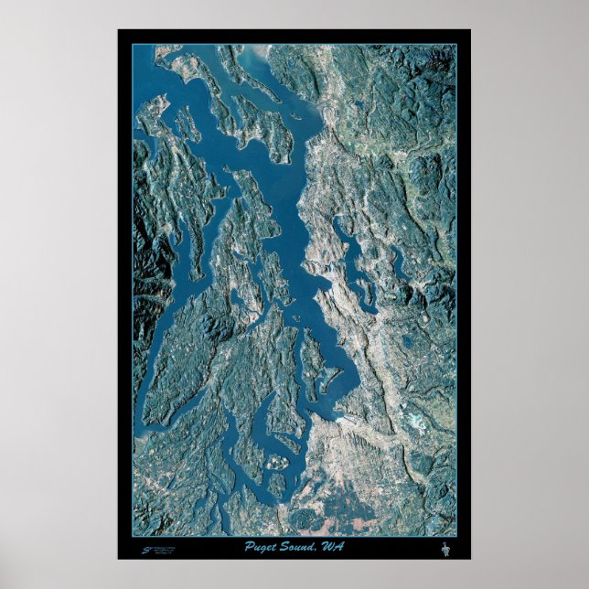 Puget Sound, poster por satélite de Washington (Frente)