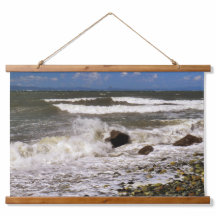 Puget Sound Washington Beach Photo