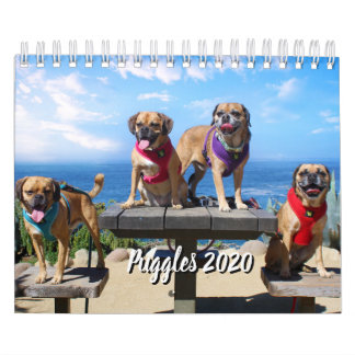 PUGGLE - CALENDÁRIO 2019