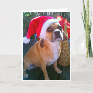 Puggle! Cartão de Natal